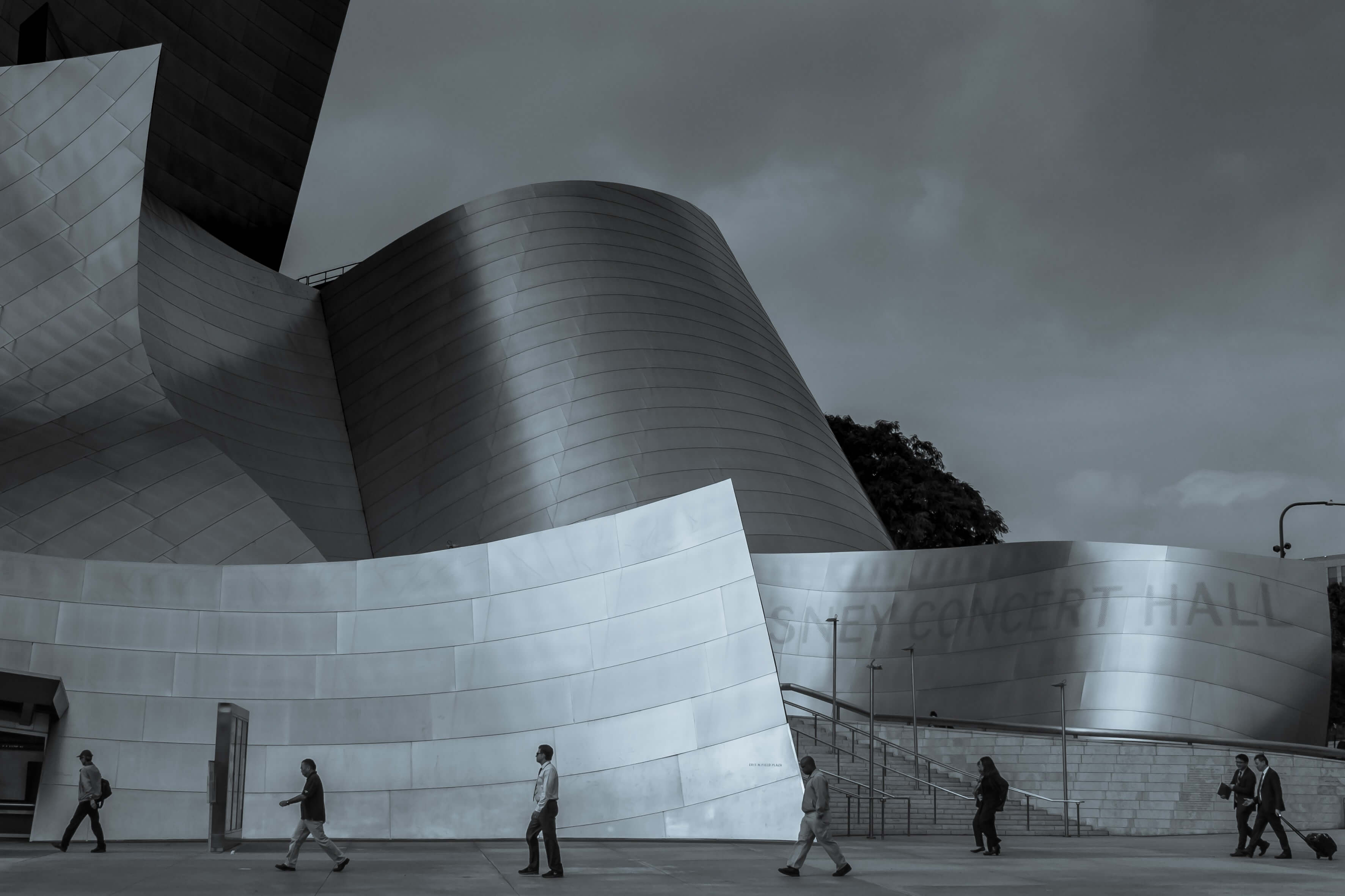 anthony-menecola-o8ZdptujotE-unsplash