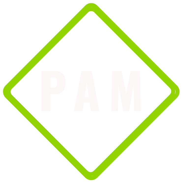 Solutions_PAM_ICON